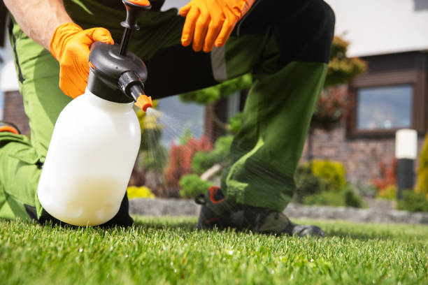 Professional Pest Control in Middletown, KY