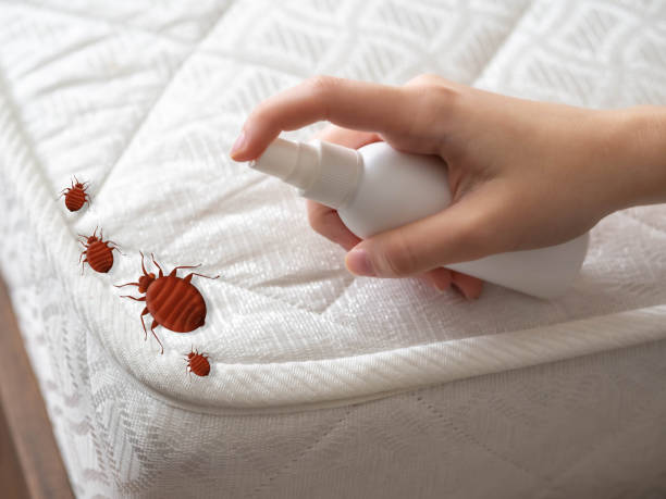 Best Mosquito Control Services  in Middletown, KY